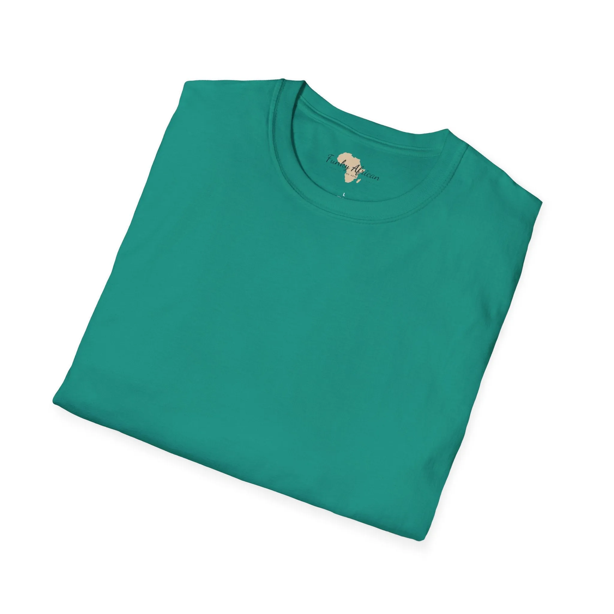 Blank unisex softstyle tee