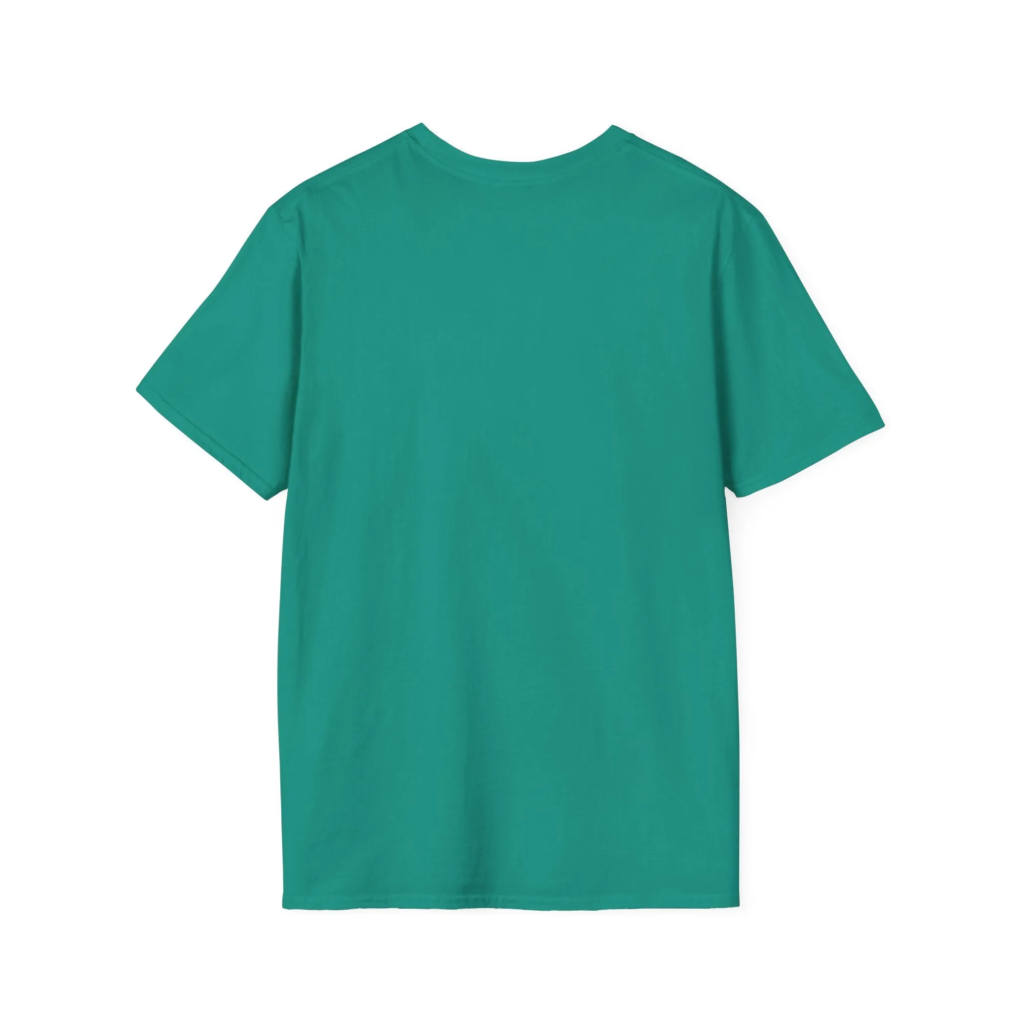 Blank unisex softstyle tee