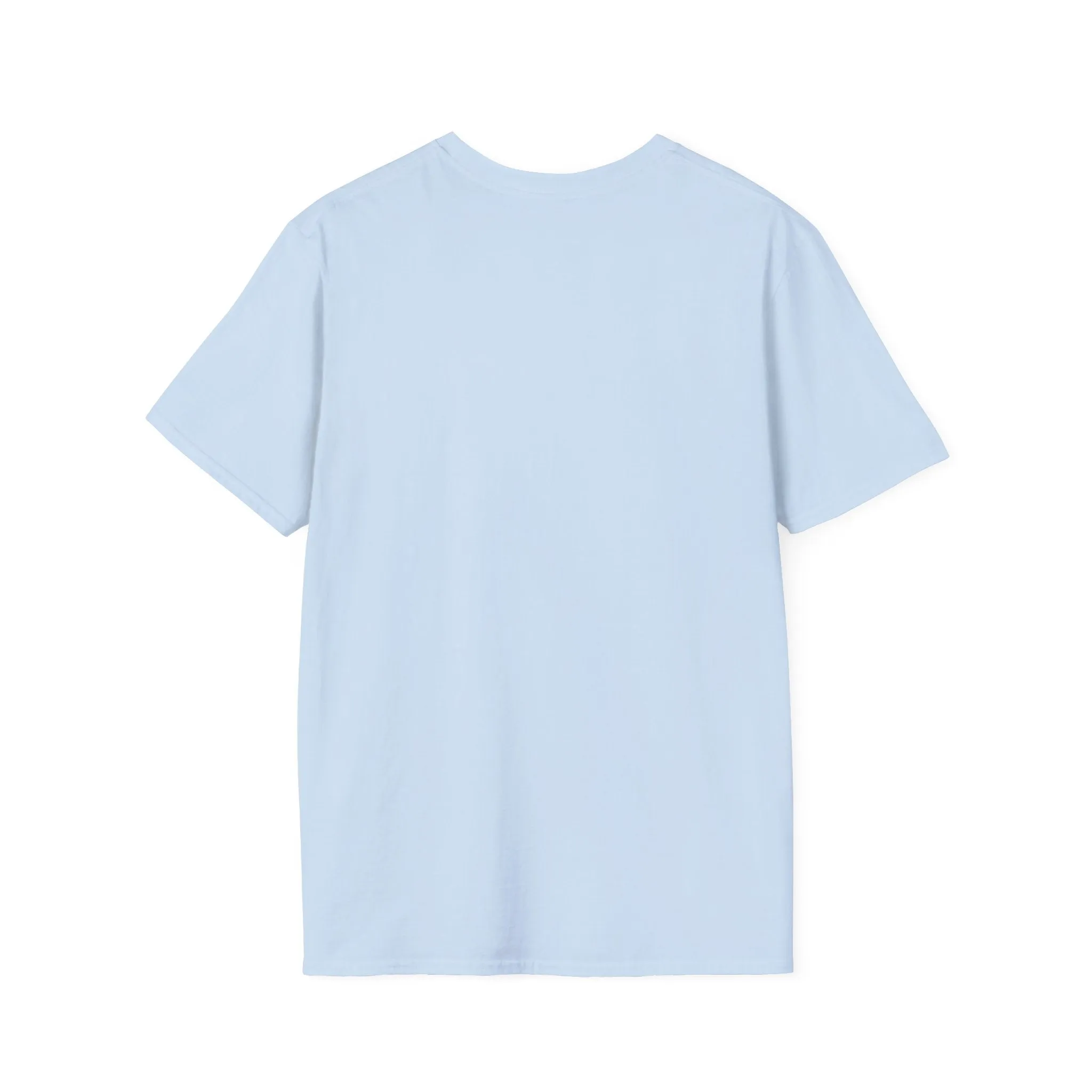 Blank unisex softstyle tee