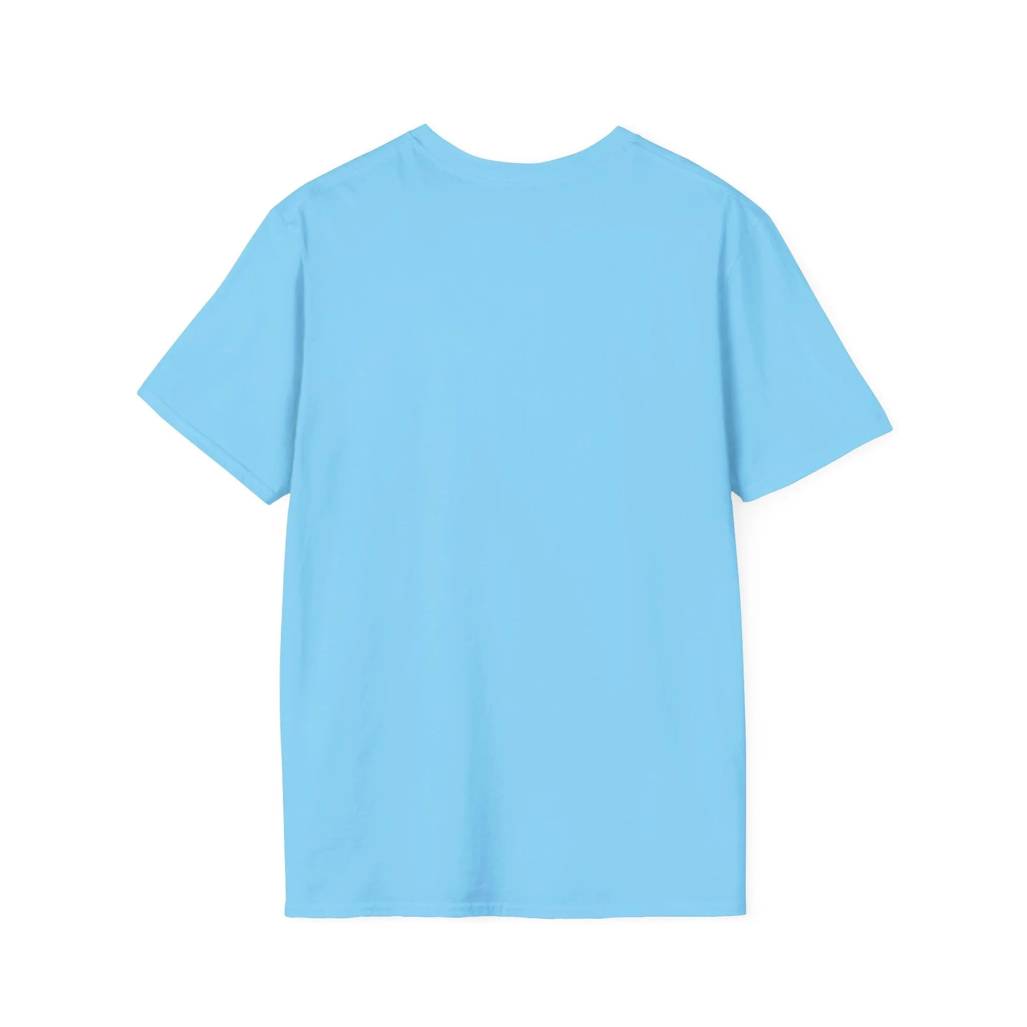 Blank unisex softstyle tee