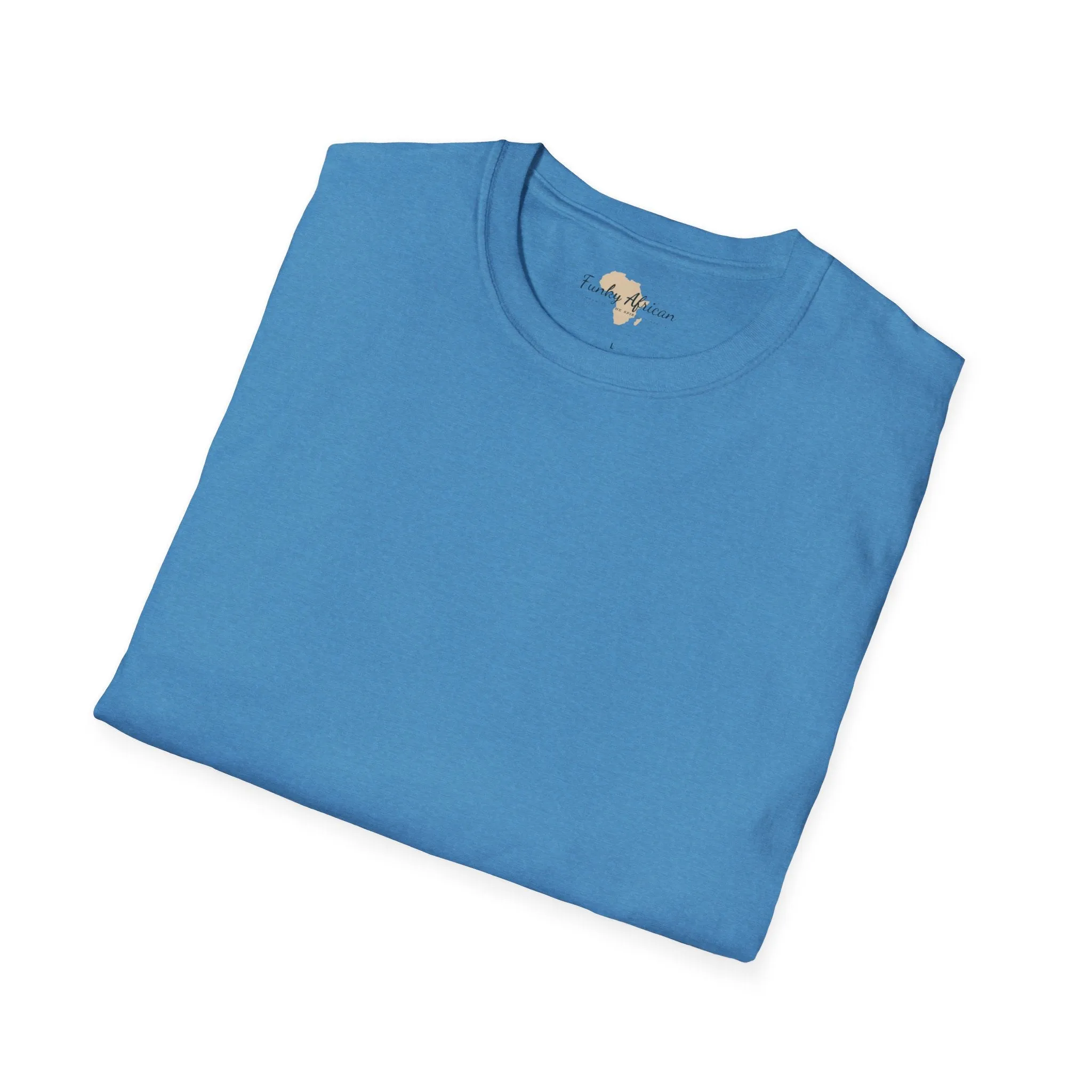 Blank unisex softstyle tee