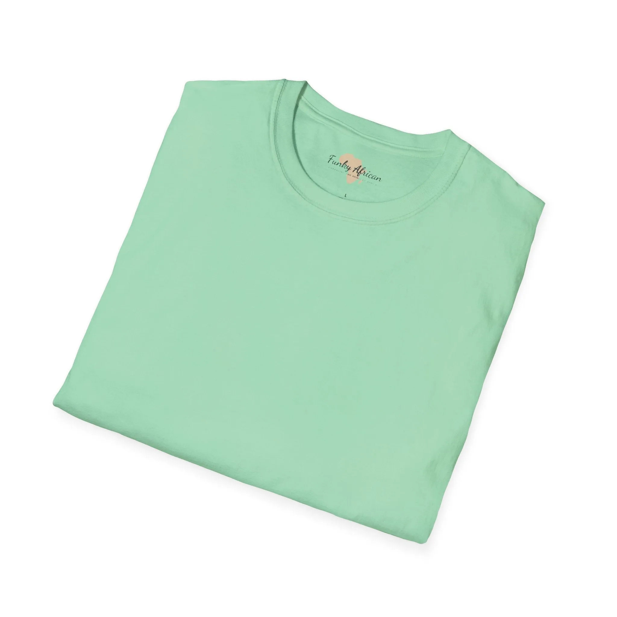 Blank unisex softstyle tee