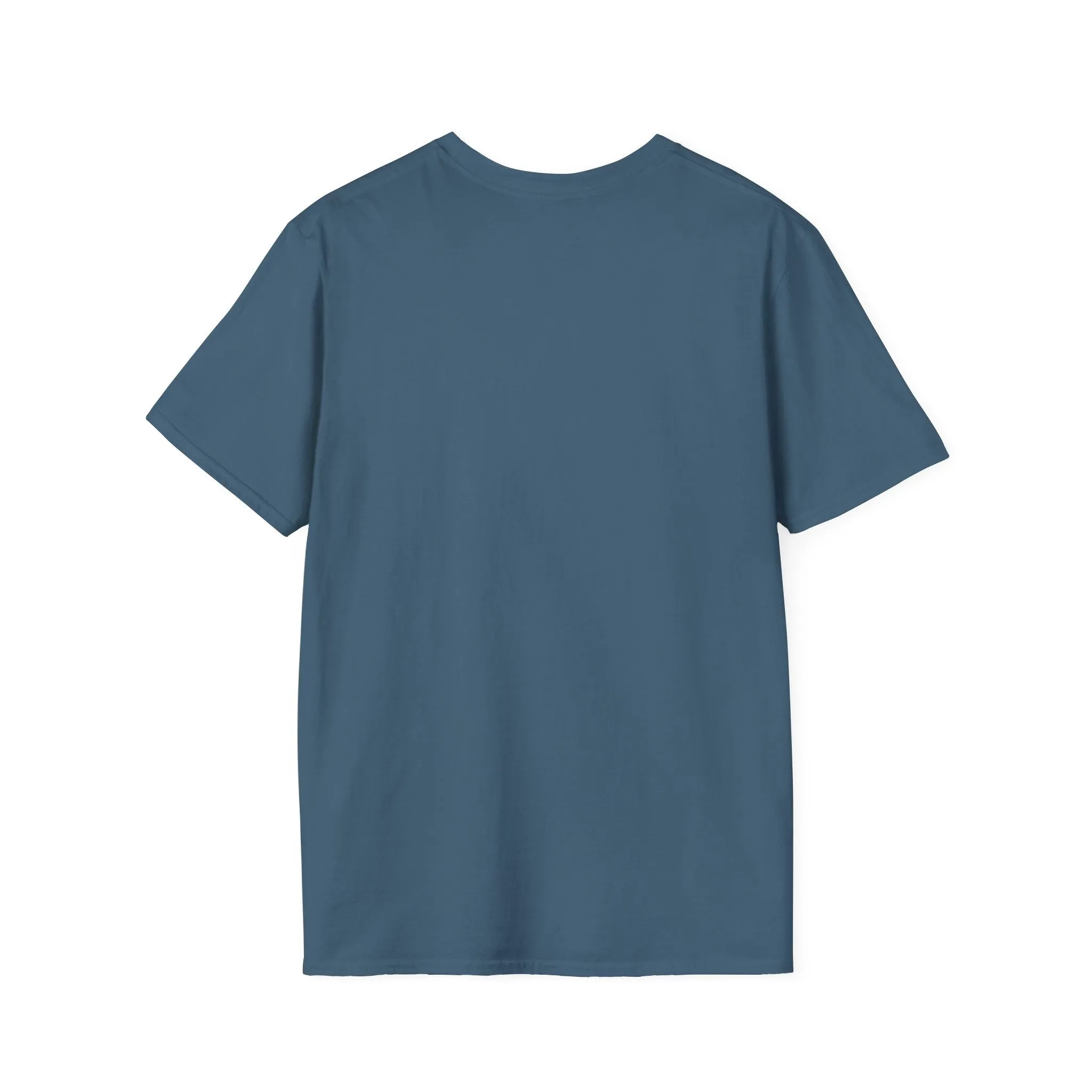 Blank unisex softstyle tee