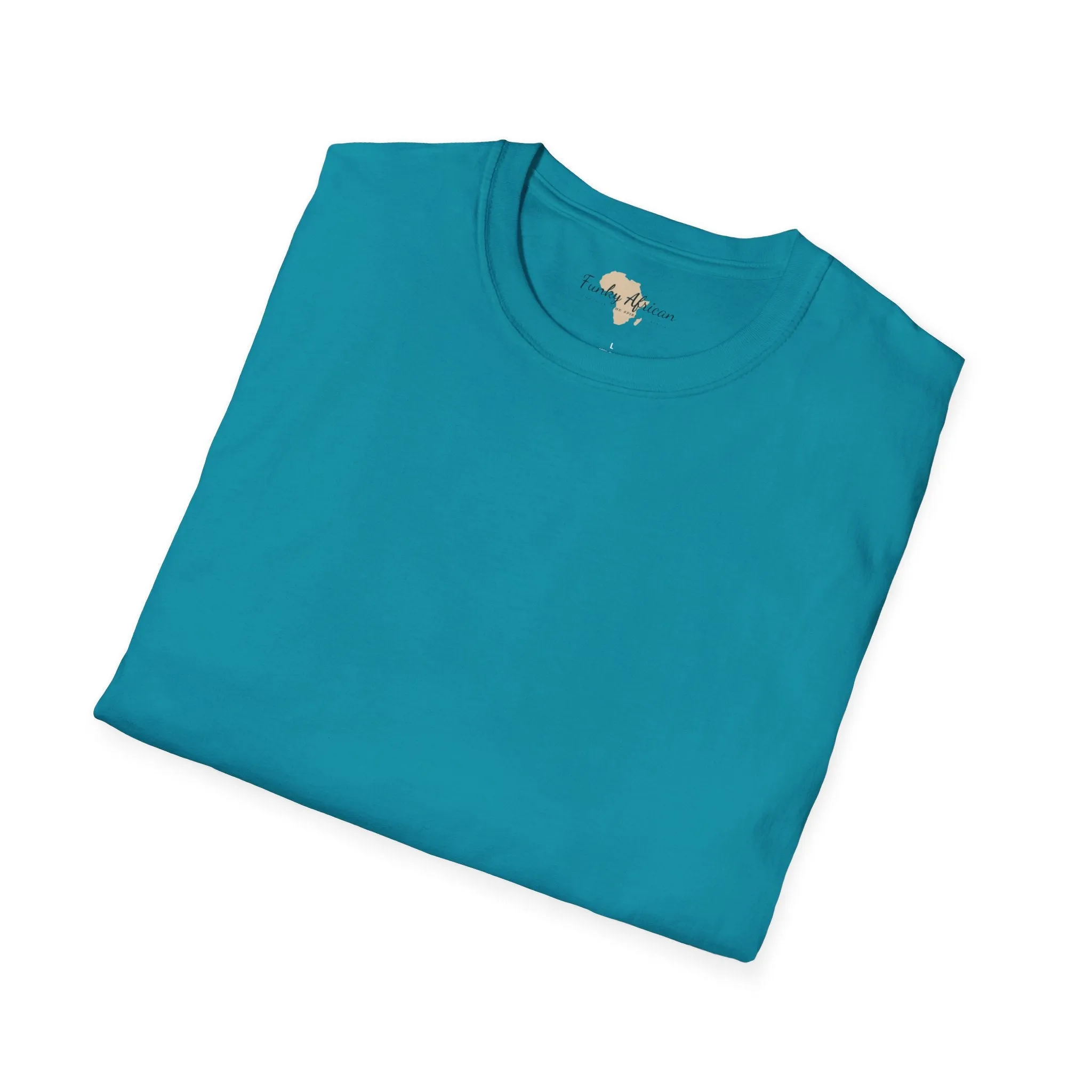 Blank unisex softstyle tee