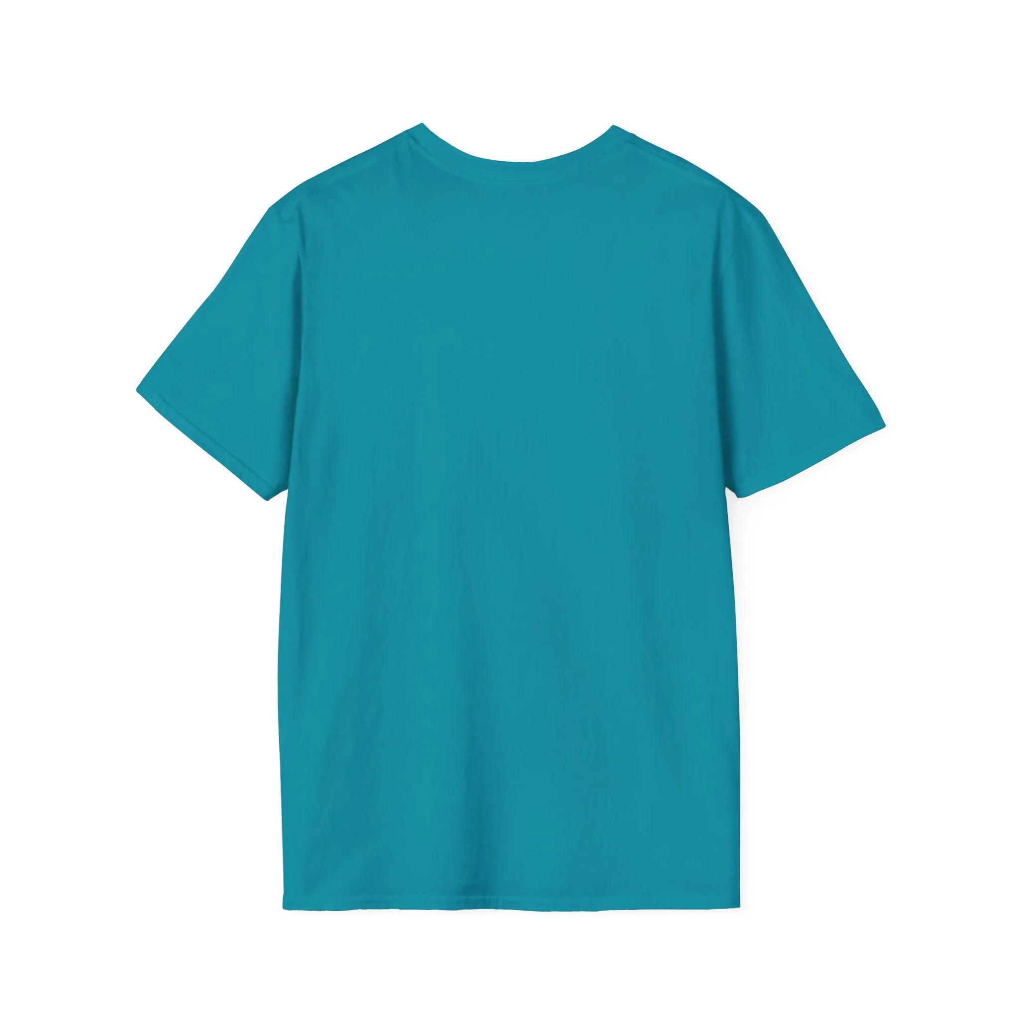 Blank unisex softstyle tee