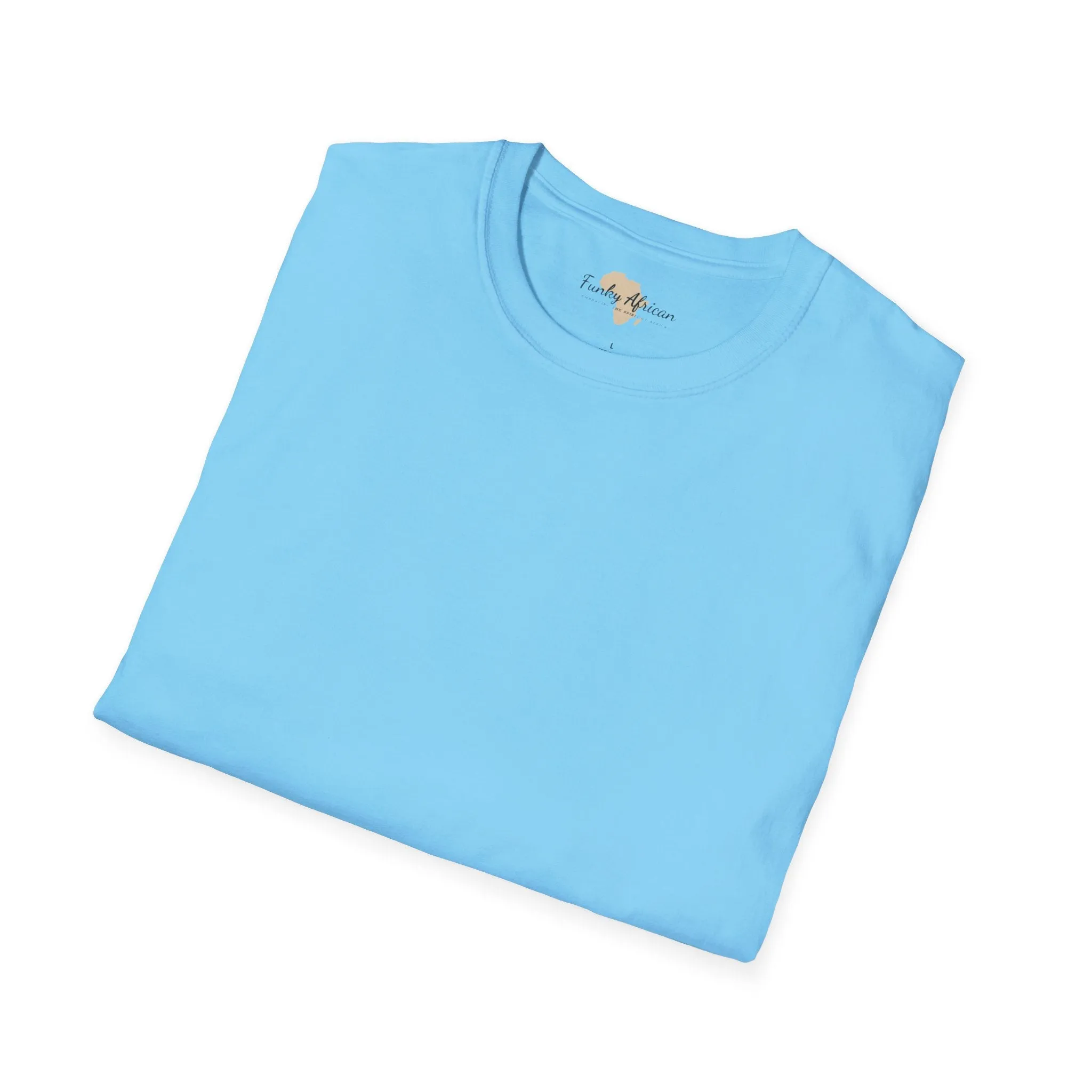 Blank unisex softstyle tee