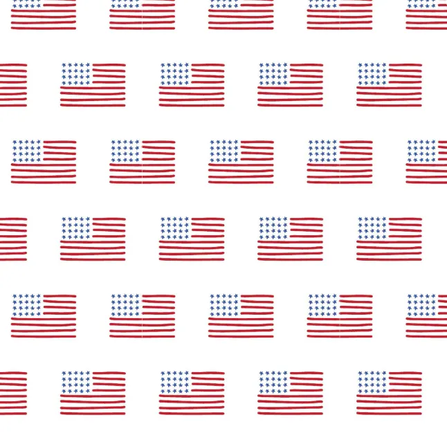 Charles Short Set | American Flag