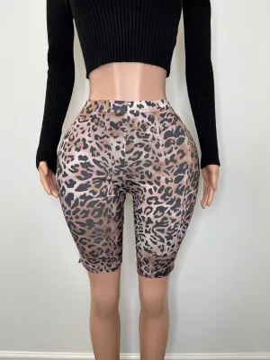 Cheetah | Capri