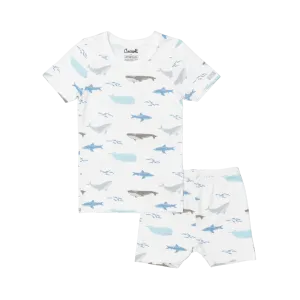 Coccoli Kid Boy SS Modal Pajama- Ocean Life on Cream