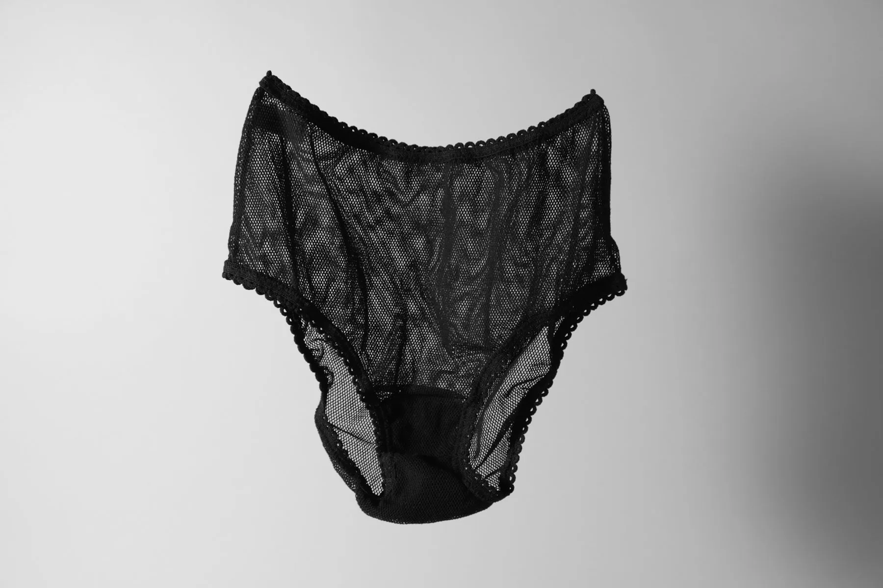Echo Brief