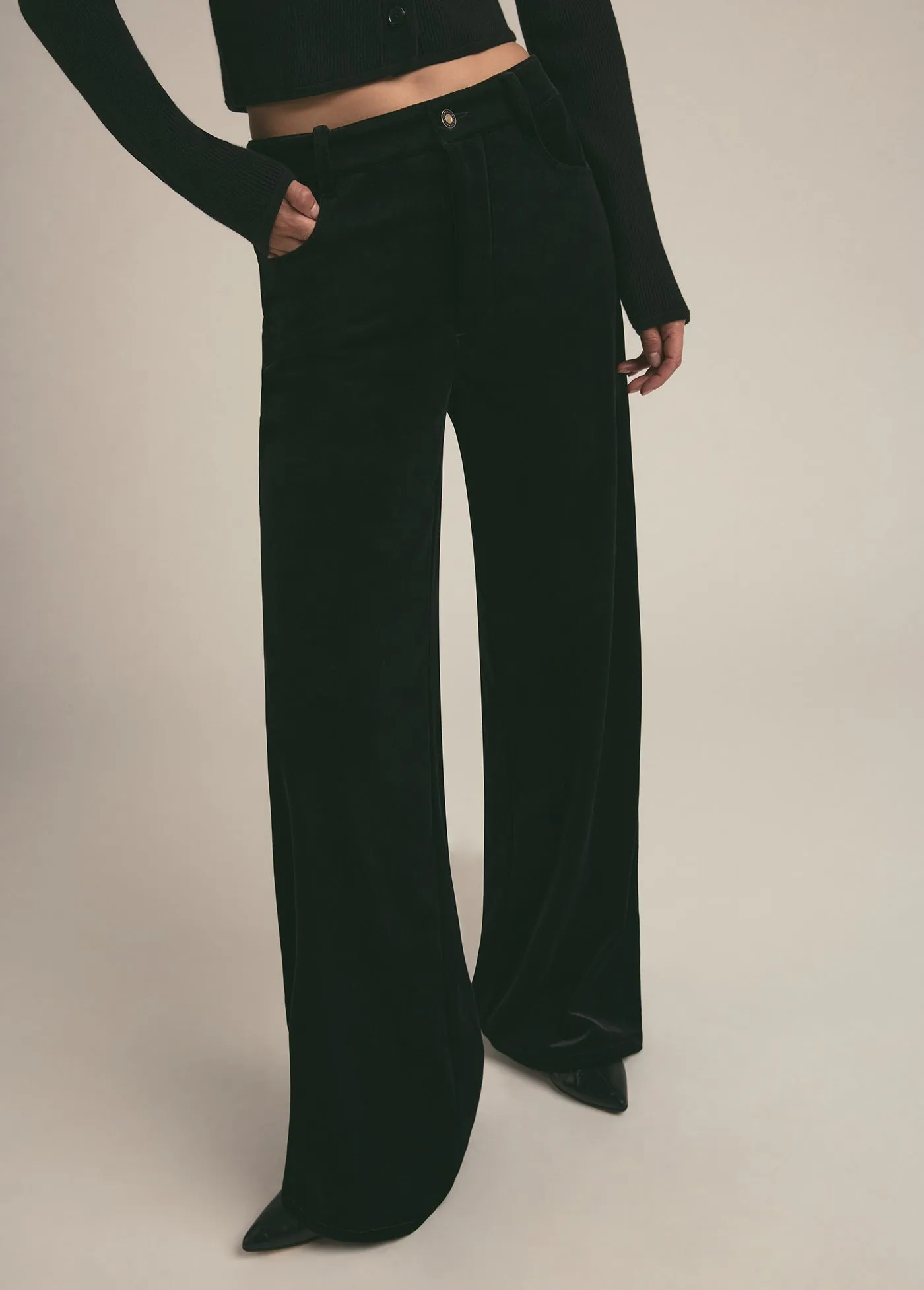 Favorite Daughter - The Ollie Low Rise Ultimate Baggy Wide Leg Pant - Black Out