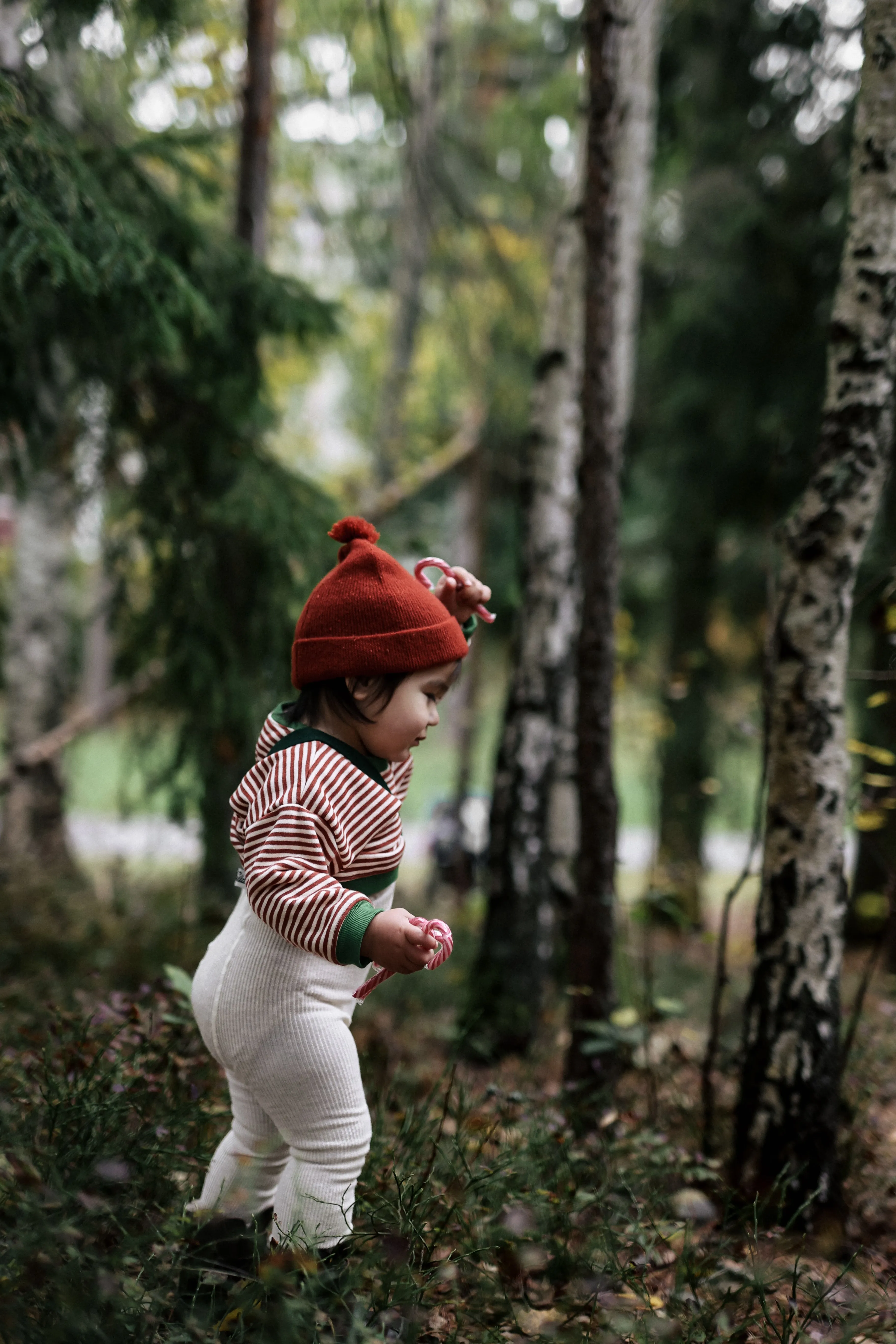 Oat Footless Cotton Tights With Contrast Braces