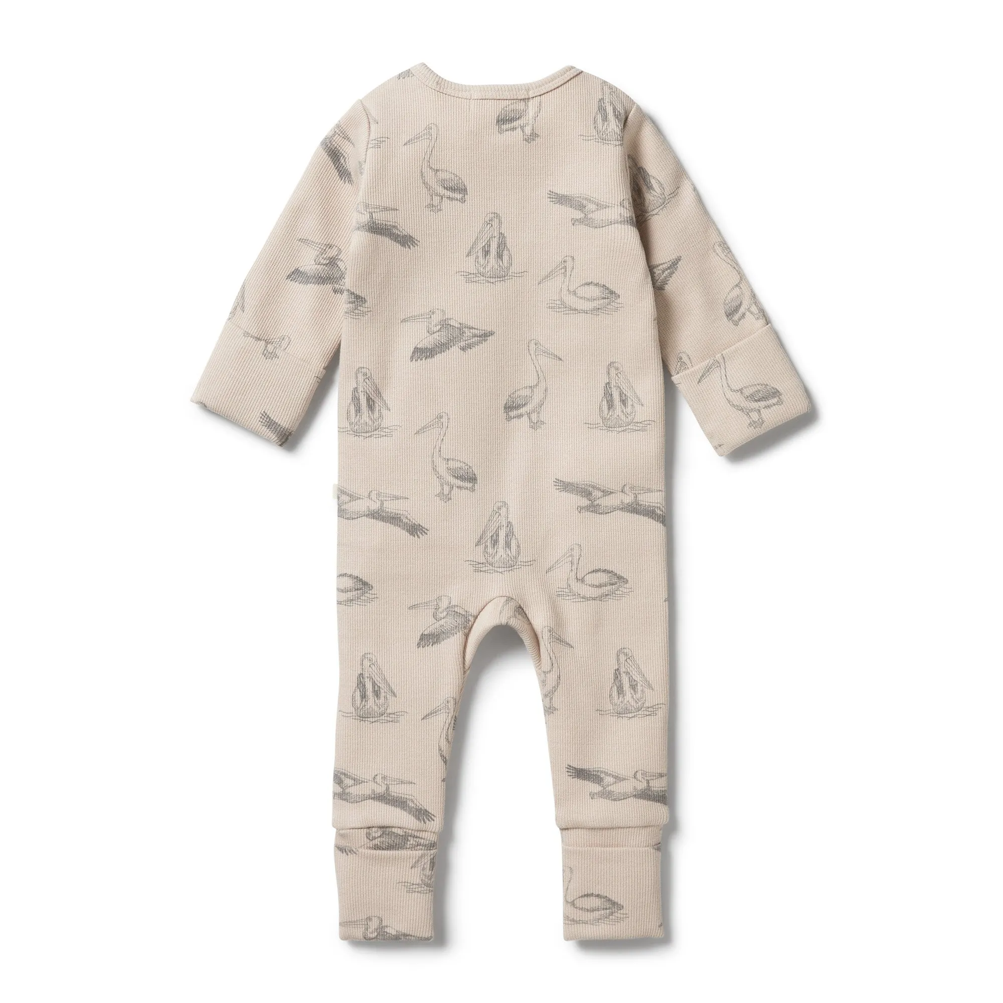Organic Rib Zipsuit with Feet- Little Pelican