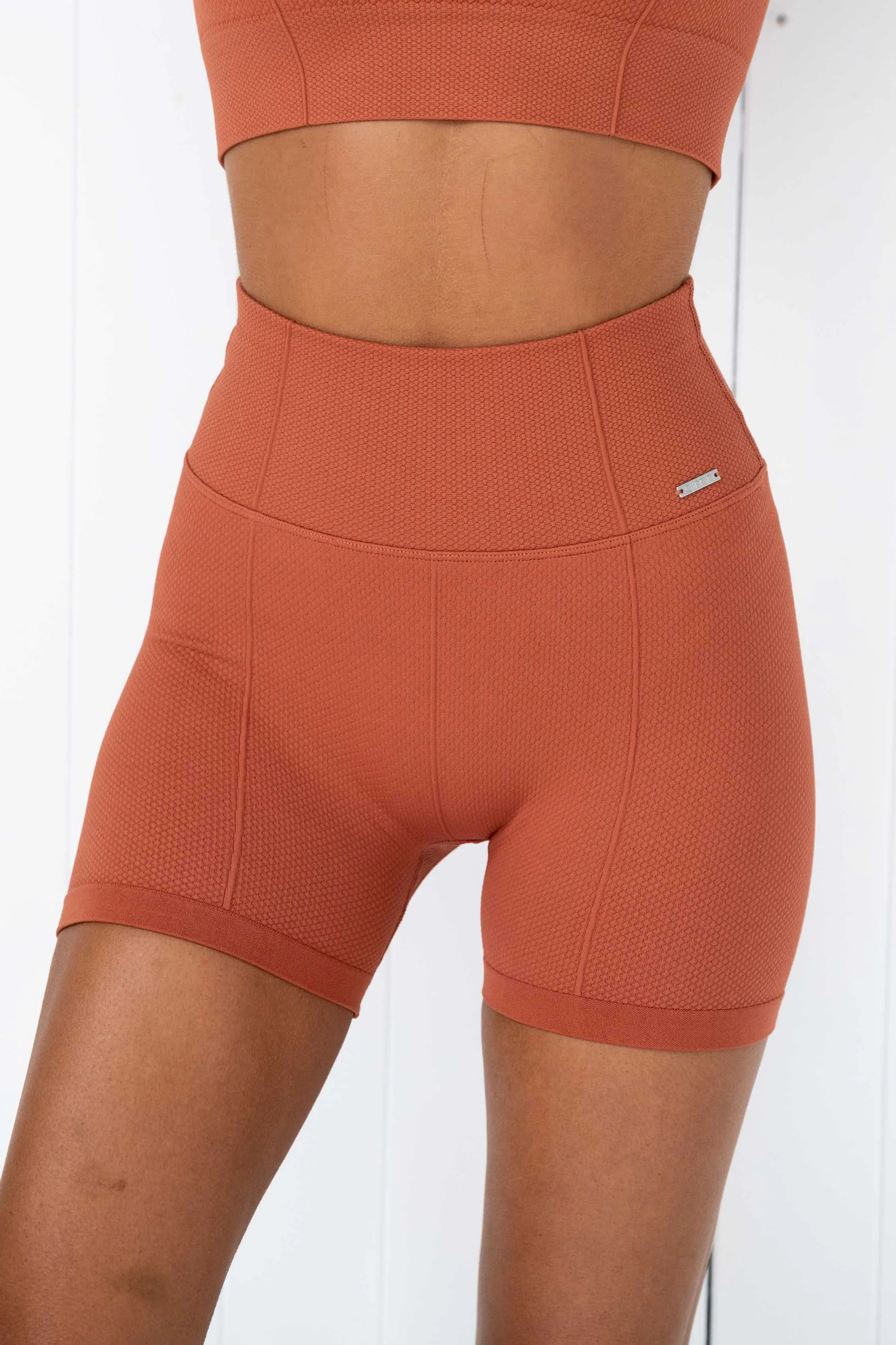 Rouge Luxe Seamless Midi Bike Shorts