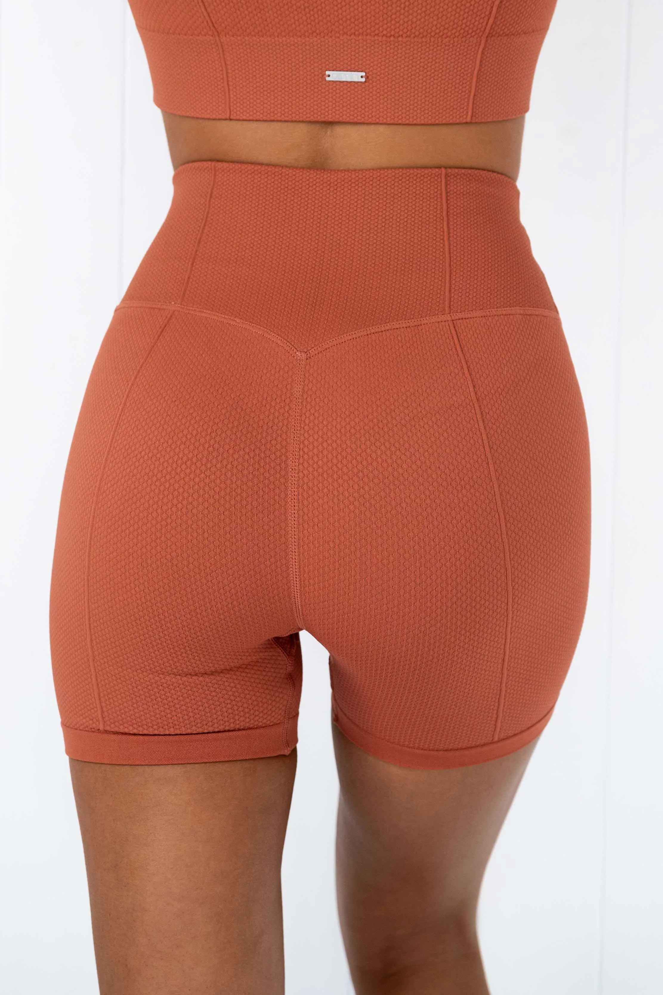 Rouge Luxe Seamless Midi Bike Shorts