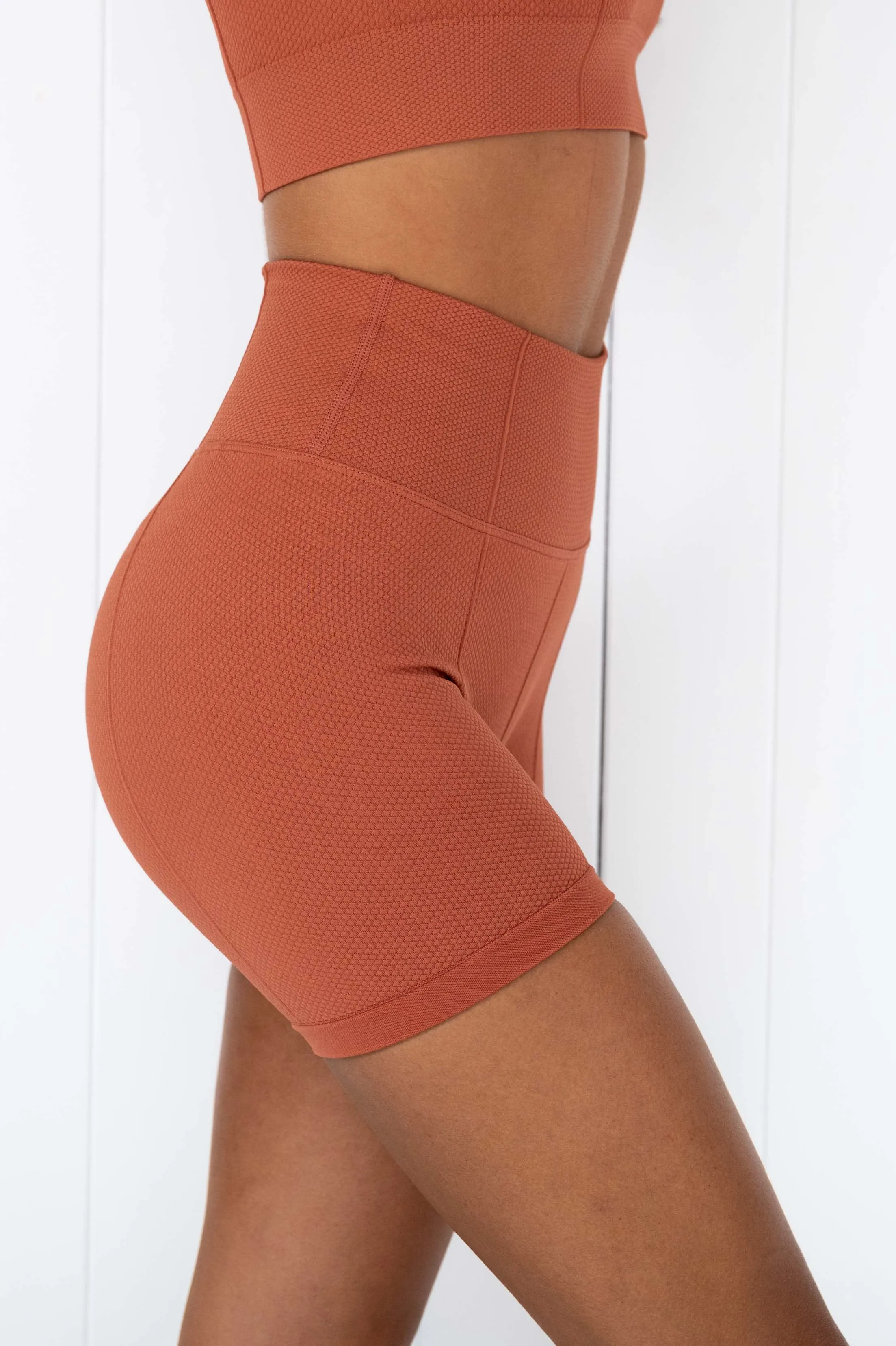 Rouge Luxe Seamless Midi Bike Shorts