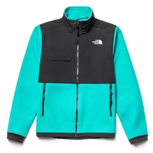 TNF Denali 2 Jacket Green
